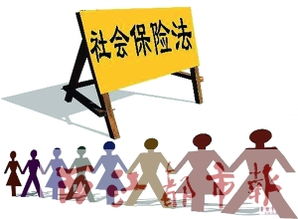 個人社保掛靠全解析 價格、型號與代辦服務(wù)指南